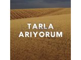 İstanbula yakın illerde Arsa - Tarla arıyorum